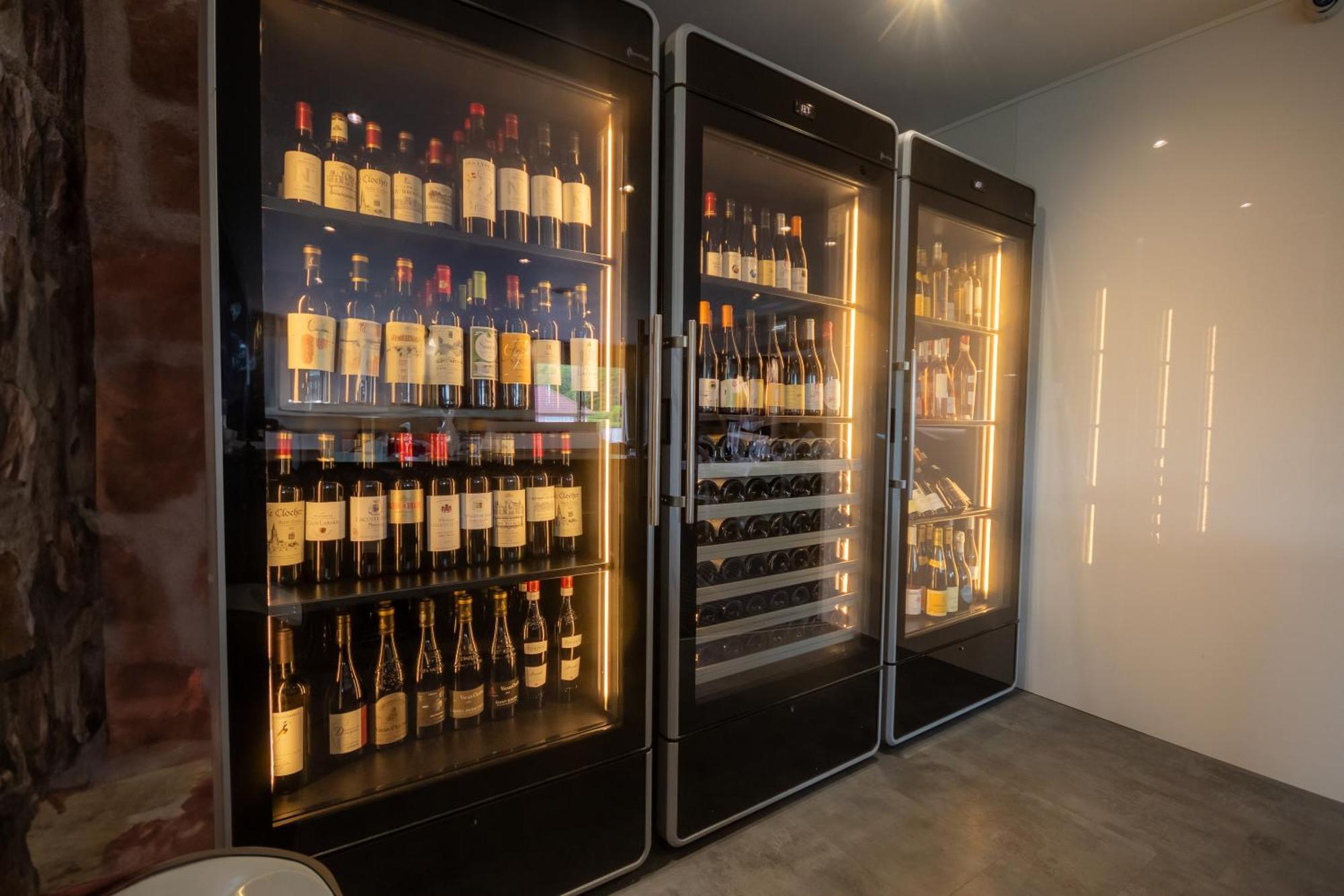 Logis Hotel Le Regal & Spa Saint-Die-des-Vosges 外观 照片