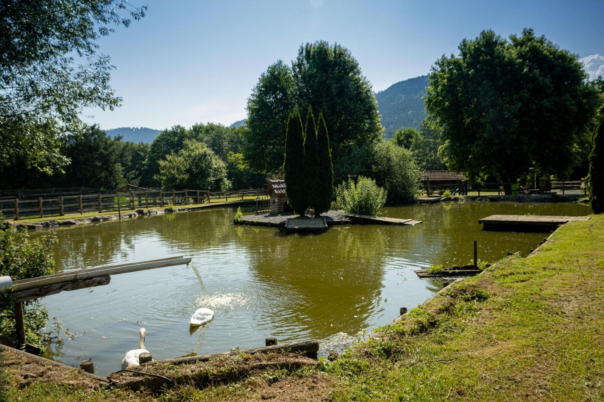 Logis Hotel Le Regal & Spa Saint-Die-des-Vosges 外观 照片